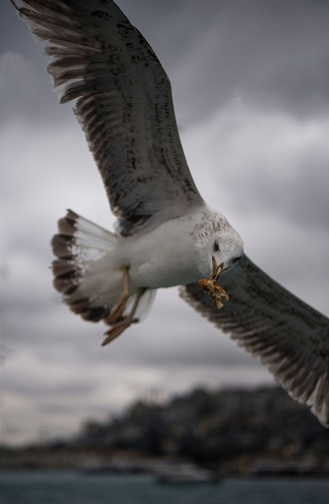 Photograph by Boytcova Anna