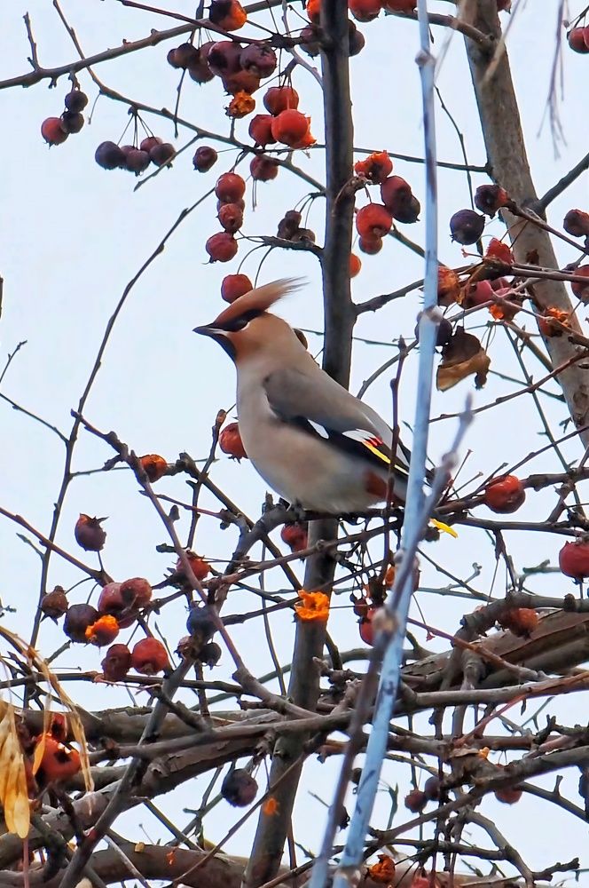 Photograph by Ольга Веселова