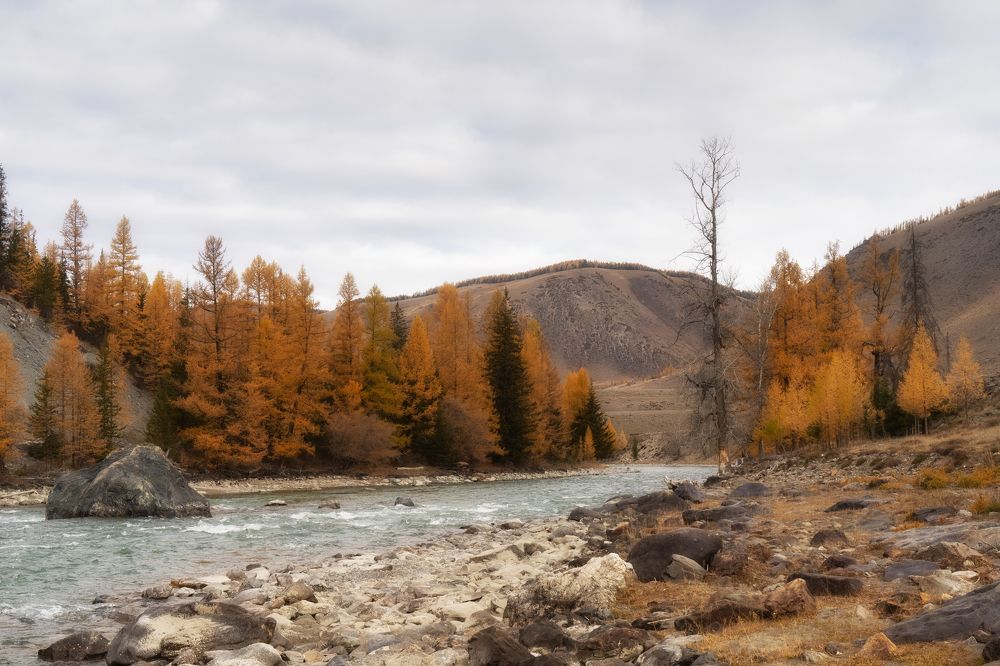 Photograph by Руслан Нигматуллин