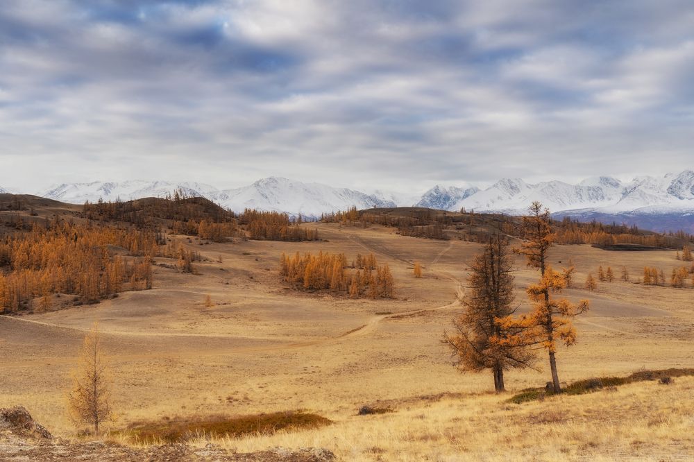 Photograph by Руслан Нигматуллин