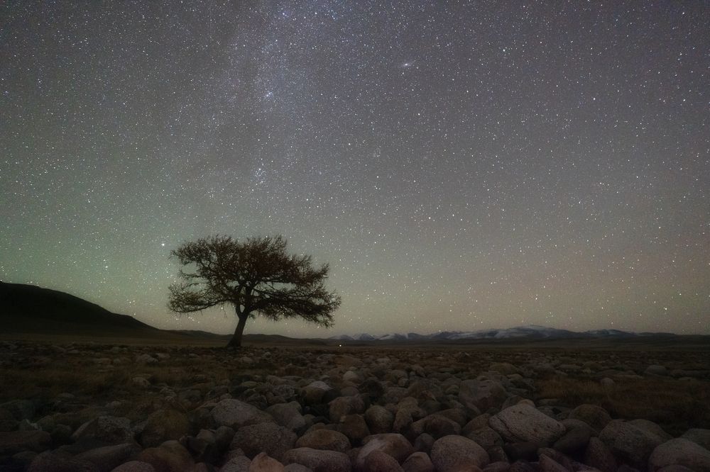 Photograph by Руслан Нигматуллин