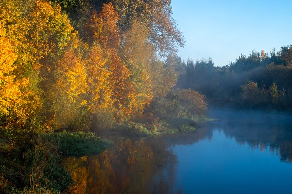 Фотография автора марина леоненко