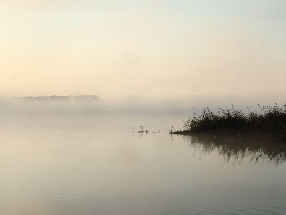 Тумманое утро