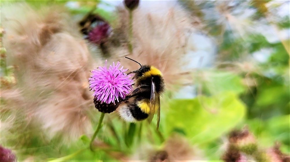 Photograph by Василь Гареев