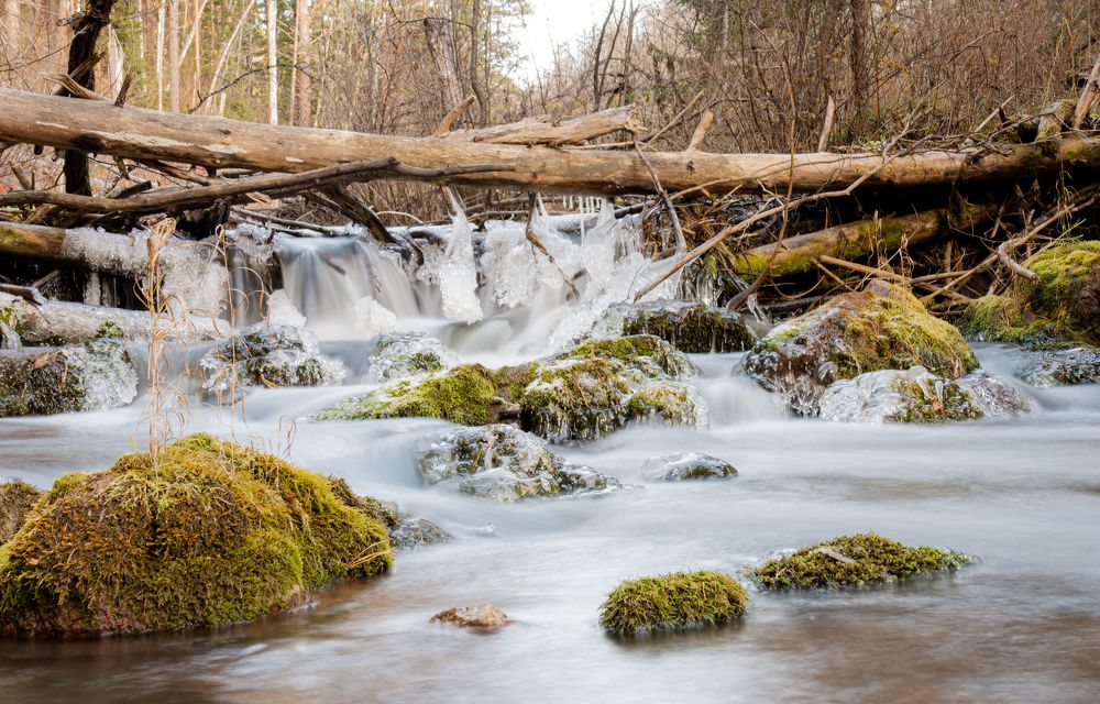 Photograph by Артем Козлов