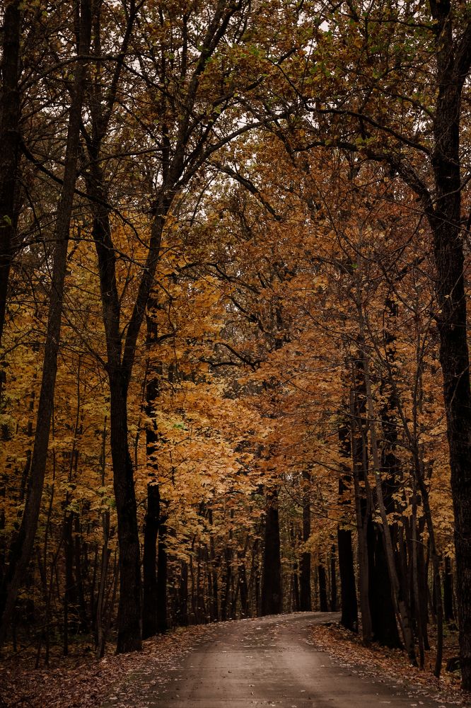 Photograph by Smirnova Olga