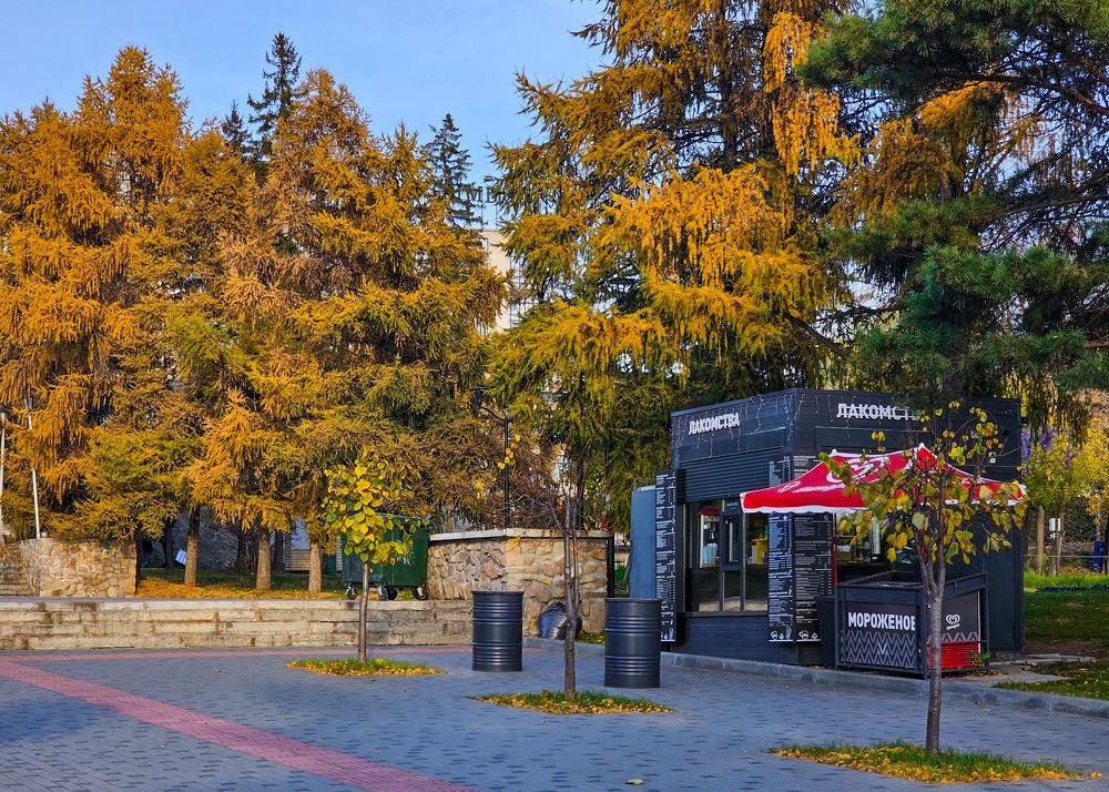 Фотография автора Максим Грибанов