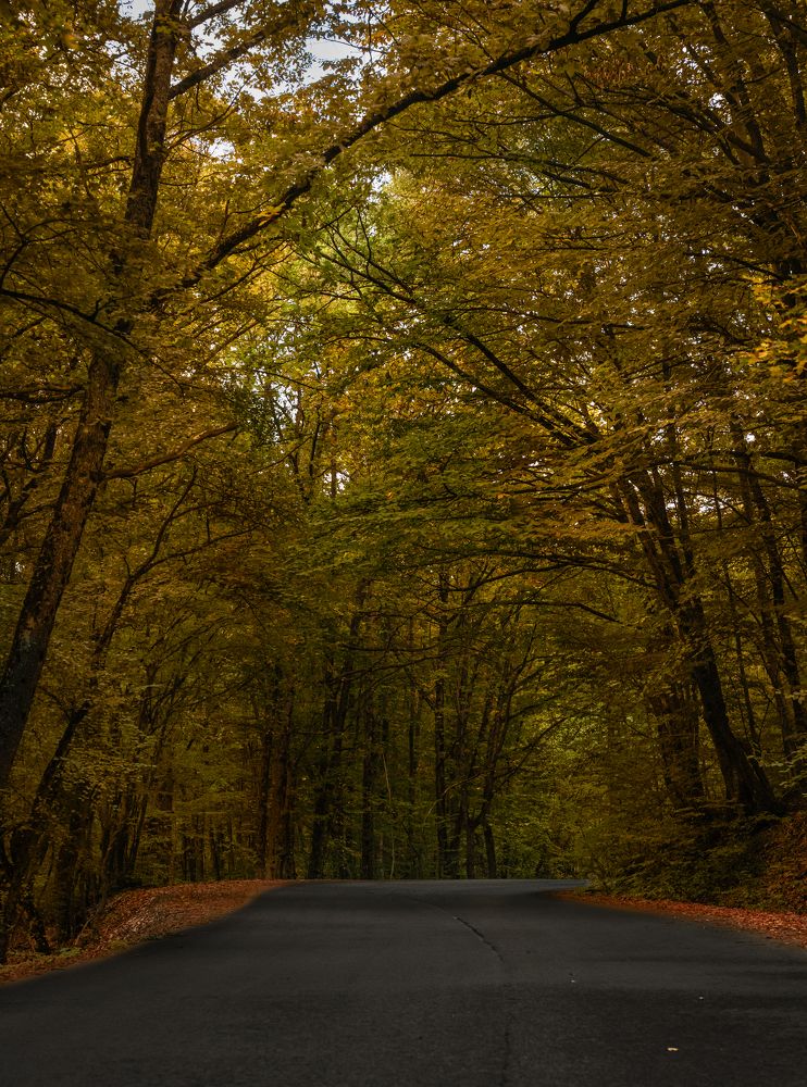 Photograph by Сергей Тишков