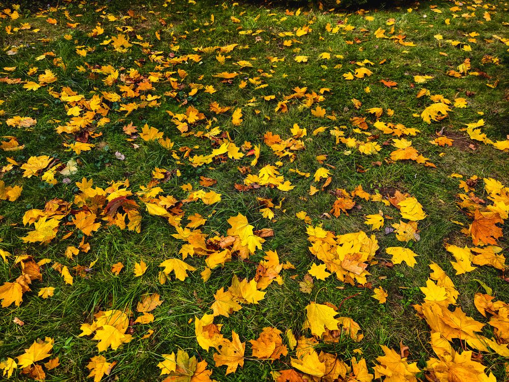 Photograph by Евгений Порсов