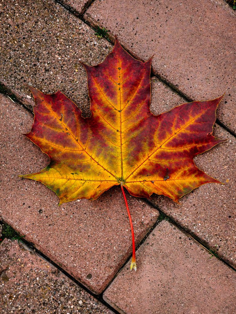 Photograph by Евгений Порсов