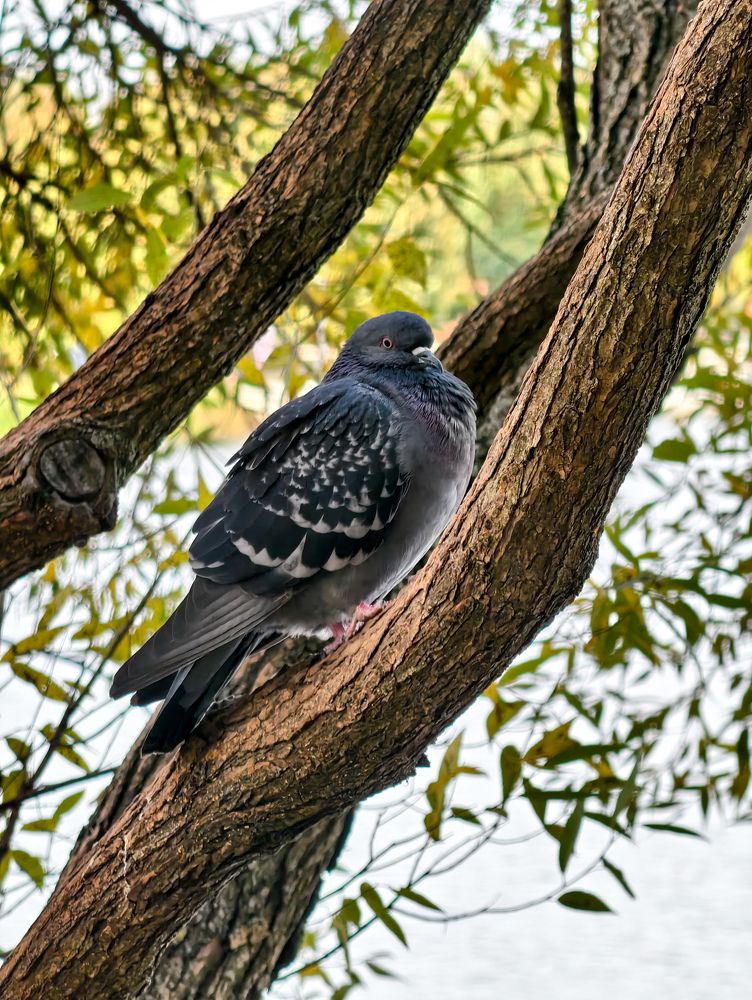 Photograph by Евгений Порсов