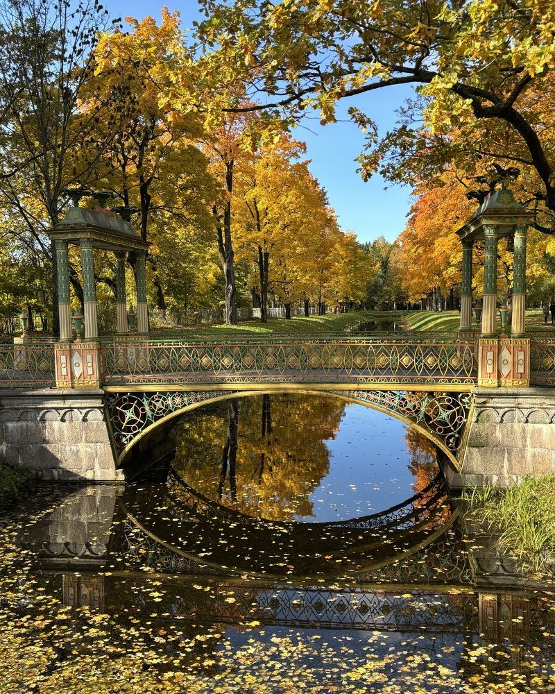 Photograph by Титаренко Людмила