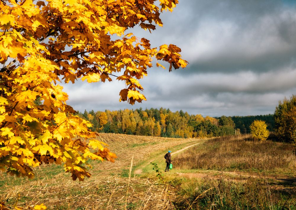 Photograph by Vitaliy