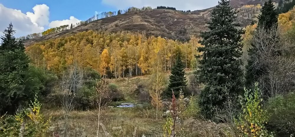 Photograph by Наталья Баранова