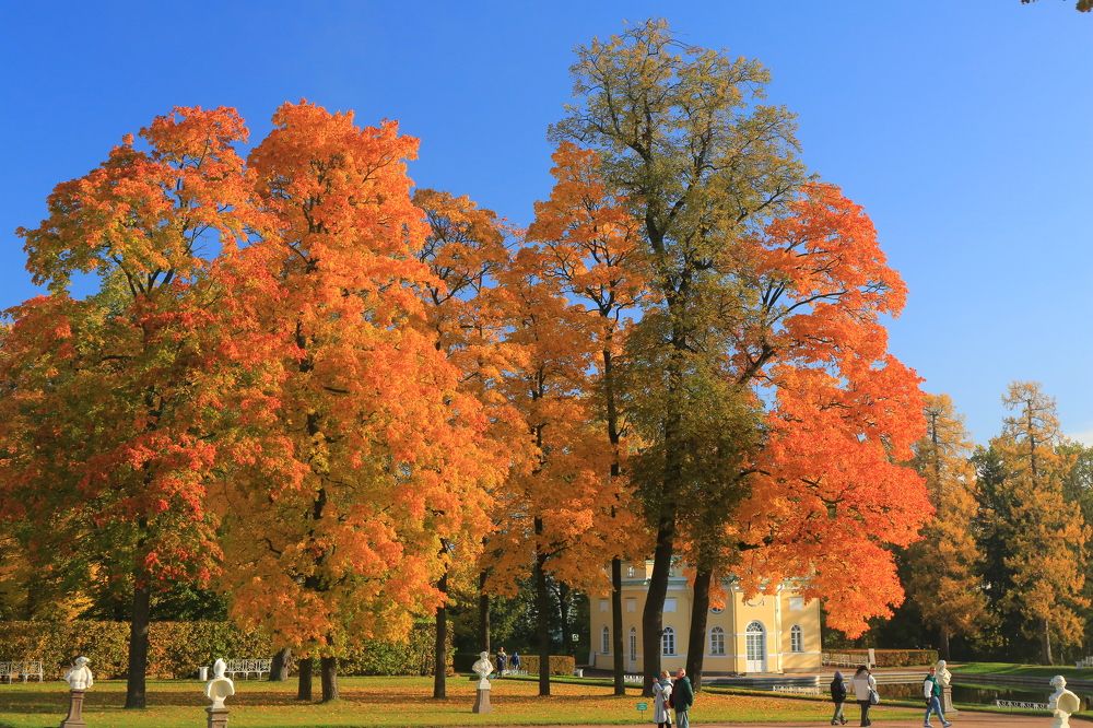 Photograph by Николай Бакулин
