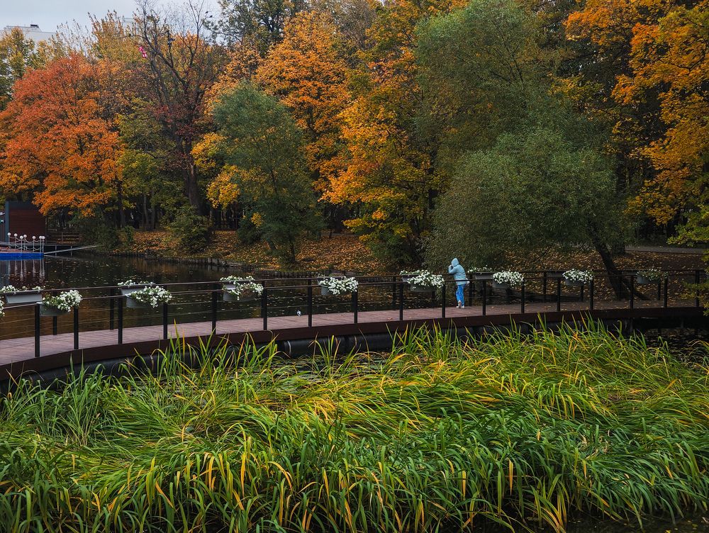 Photograph by Андрей Ионов