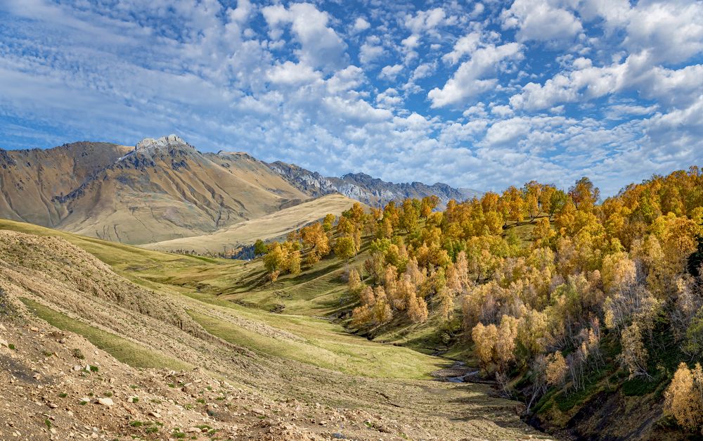 Photograph by Алексей Мякота