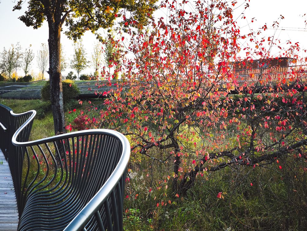 Photograph by Андрей Ионов