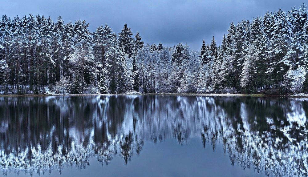 Зимняя сказка