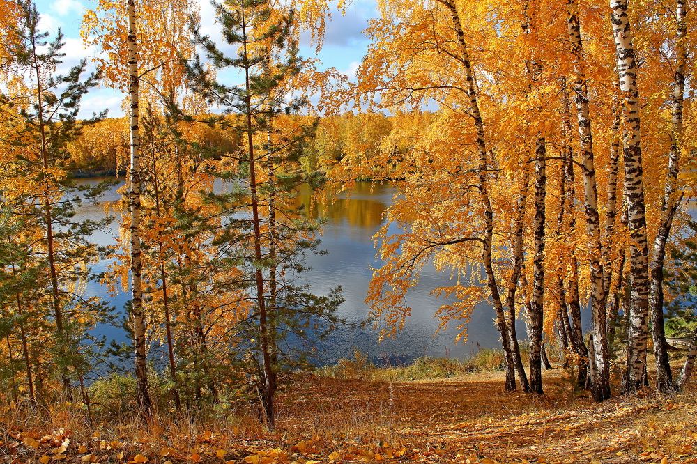 Photograph by Тамара Кремлева