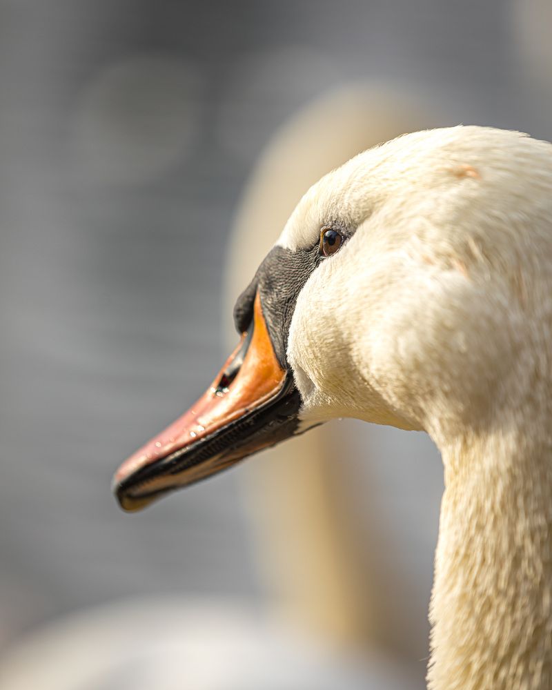 Photograph by Khalid Yousif