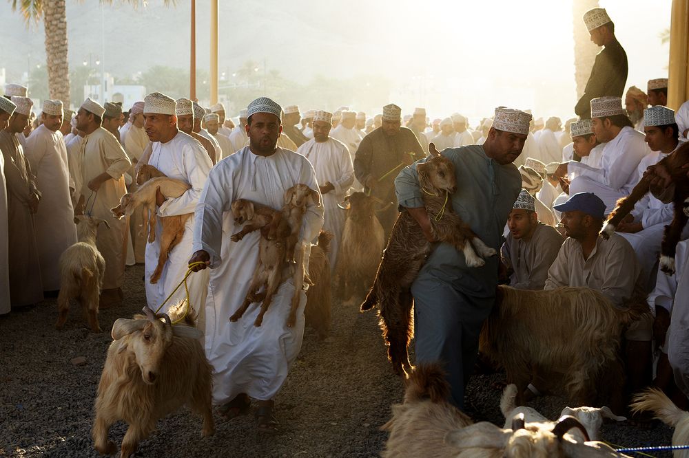 Фотография автора Abie Davies Thekkanath