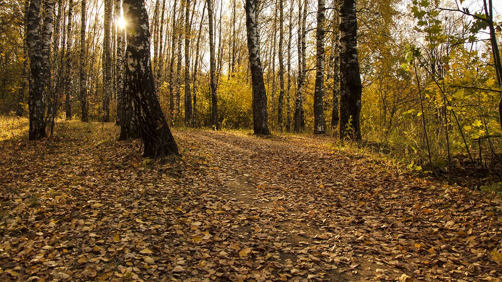 Photograph by Алексей Парамонов