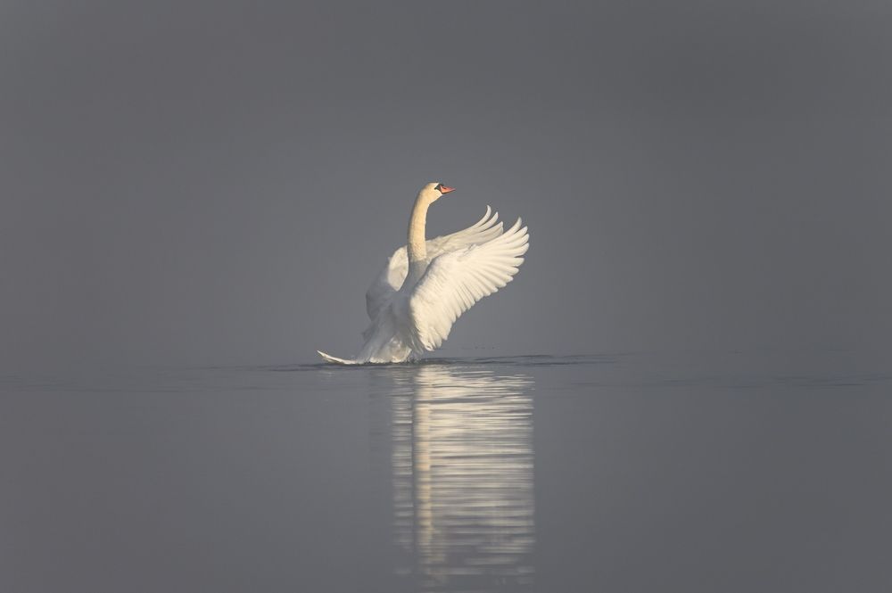 Photograph by Roman Dmitriev