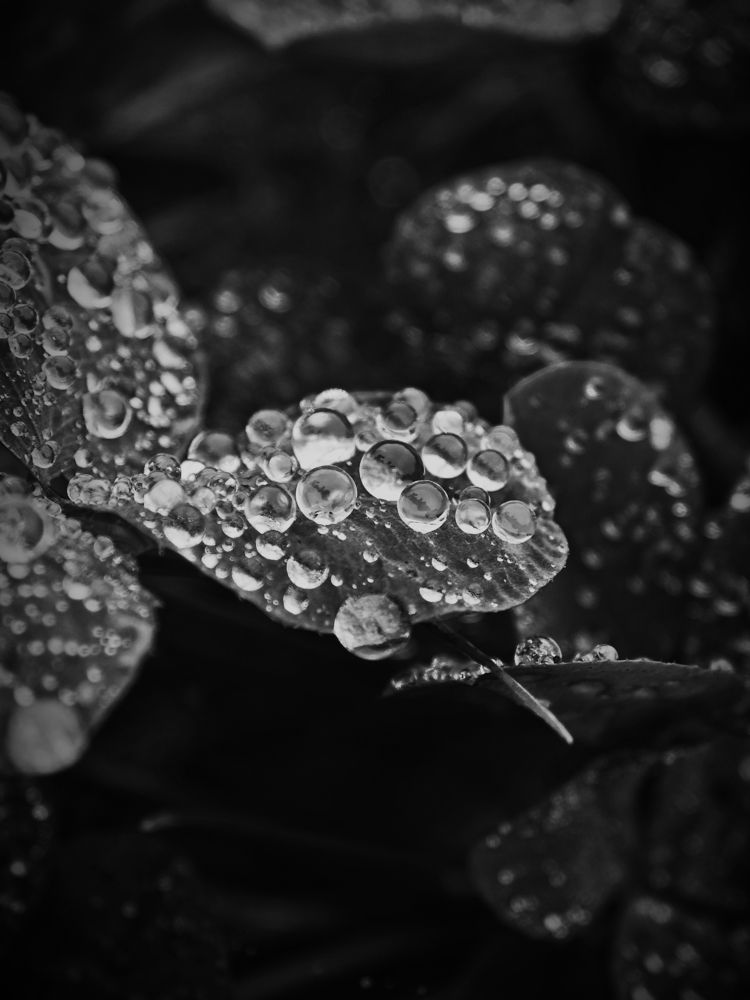 Photograph by Алексей Климов