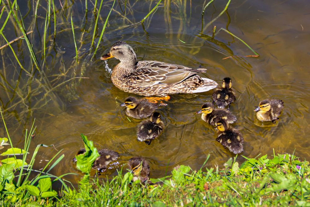 Photograph by Алексей Бирин