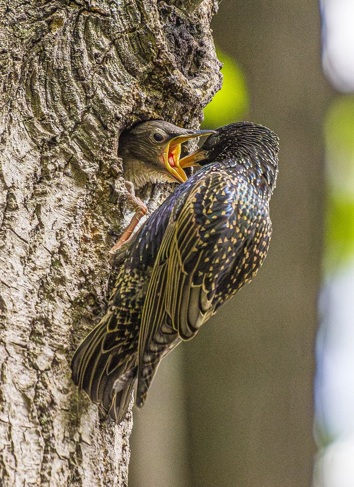 Photograph by Юрий Баженов