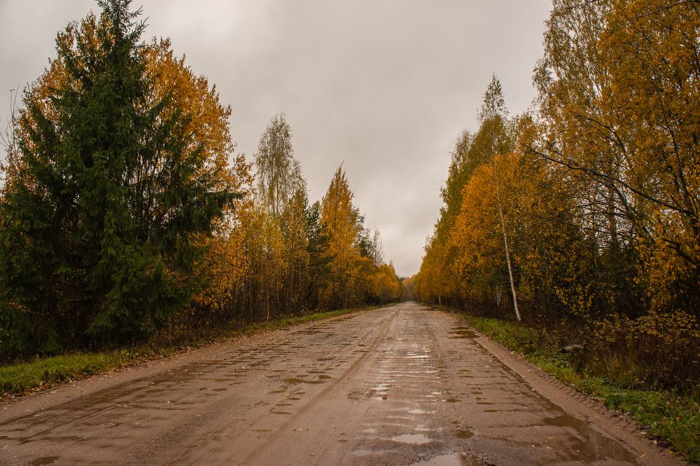 Photograph by Виталий Монахов