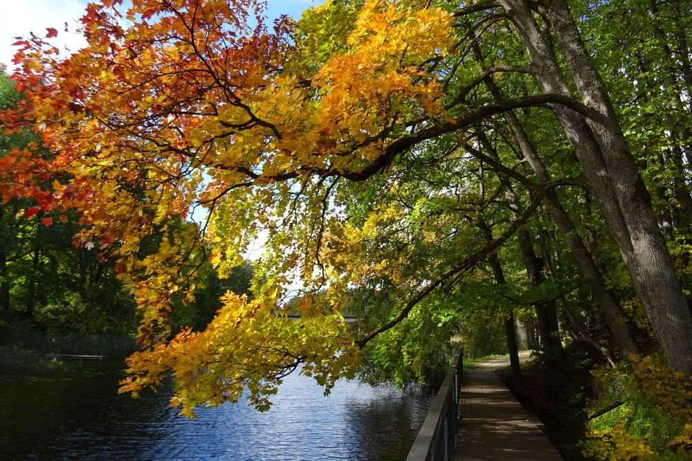 Photograph by Inna Klimaševska