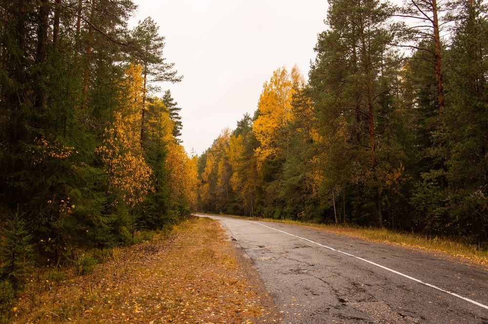 Photograph by Виталий Монахов