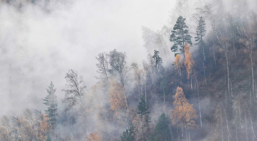 Photograph by Татьяна Кужлекова