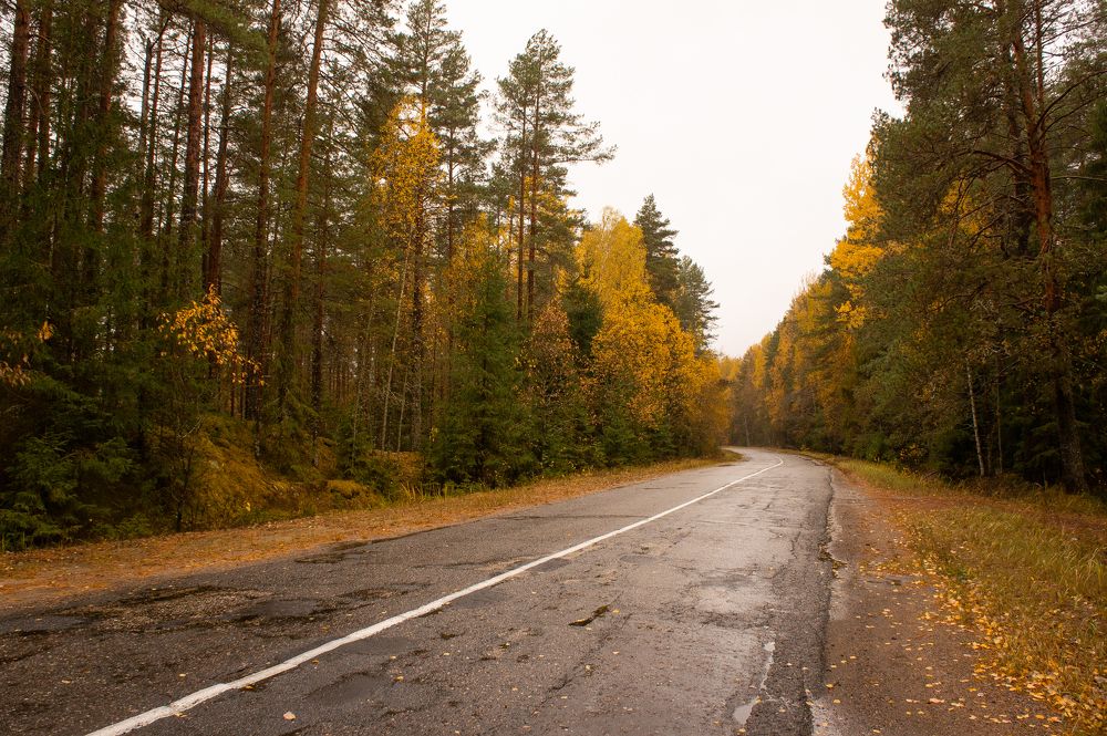 Photograph by Виталий Монахов