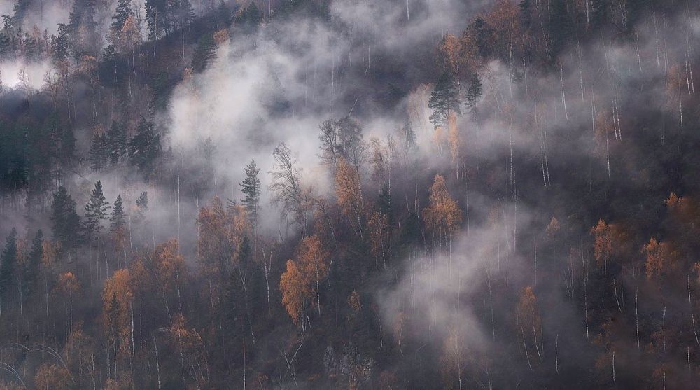 Photograph by Татьяна Кужлекова