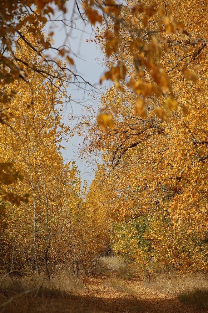 Photograph by Денис Веску