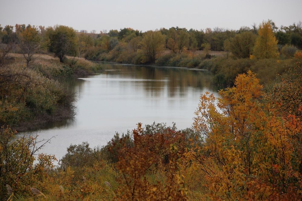 Photograph by Денис Веску