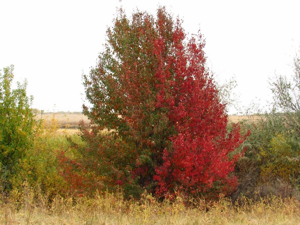 Photograph by Денис Веску