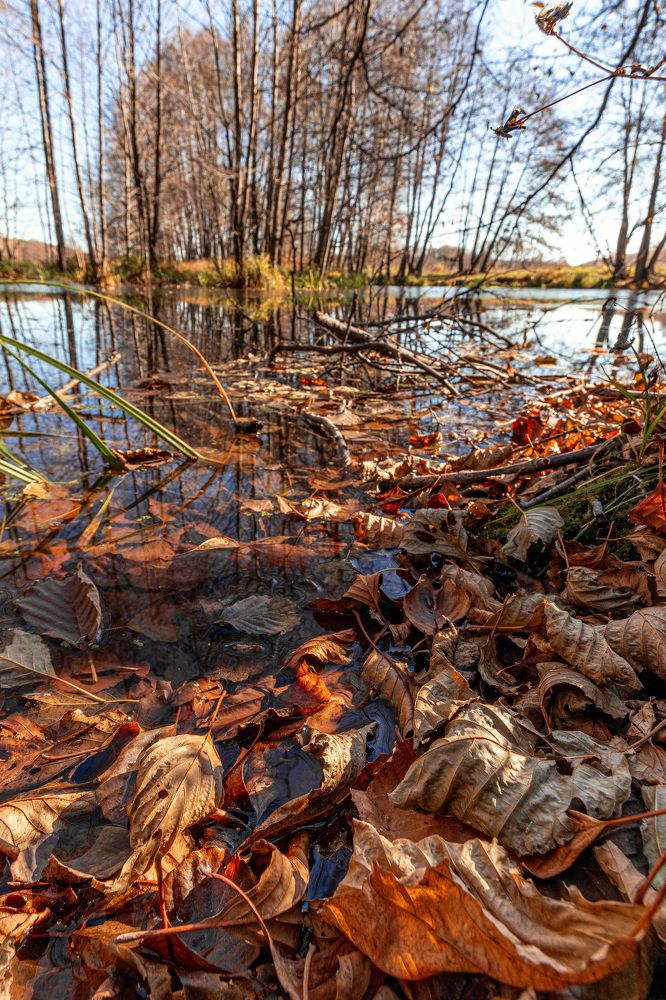 Photograph by Vitaly Lapin