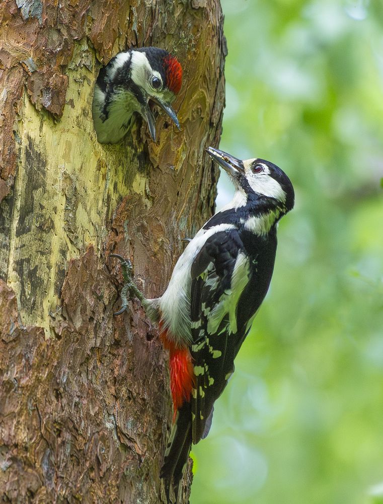 Photograph by Юрий Баженов