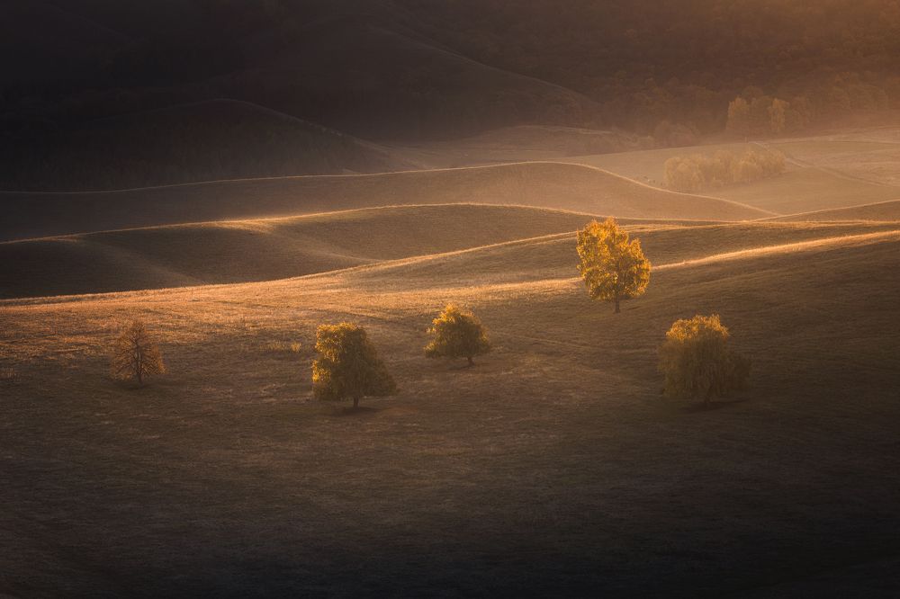 Photograph by Татьяна Бирюкова