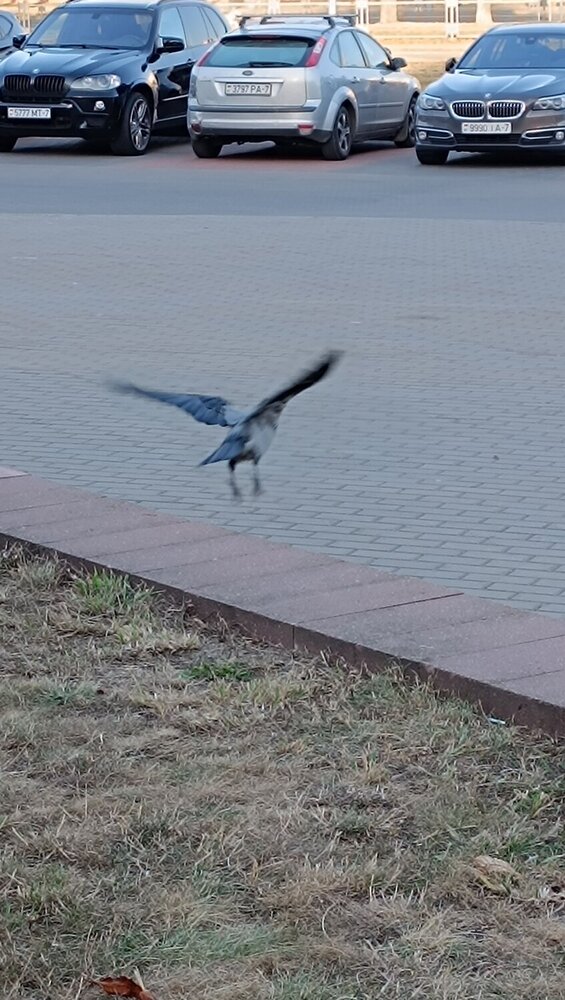 Photograph by Татьяна