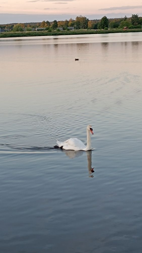 Photograph by Татьяна