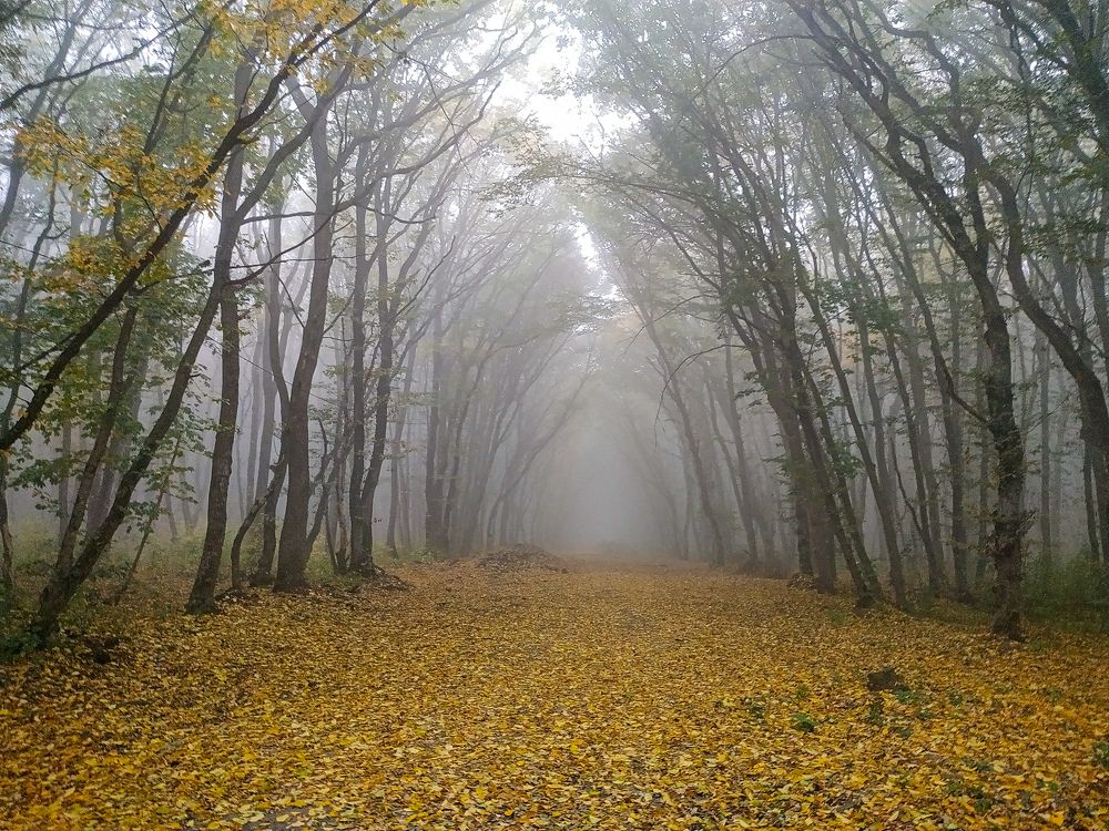 Photograph by Виталий Маслов