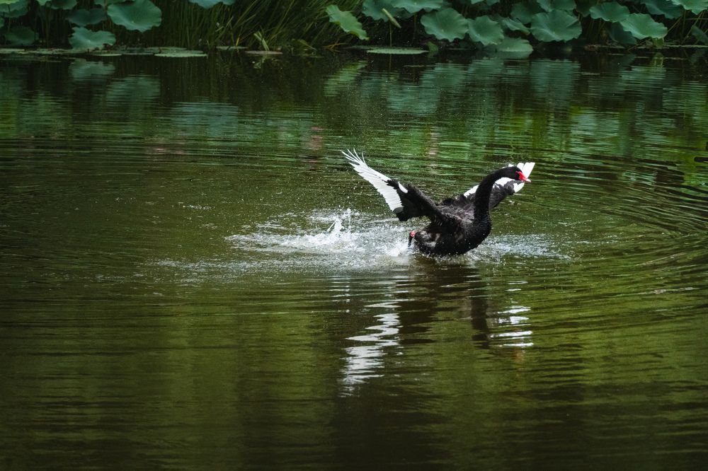 Photograph by ADRIANA CARVALHO