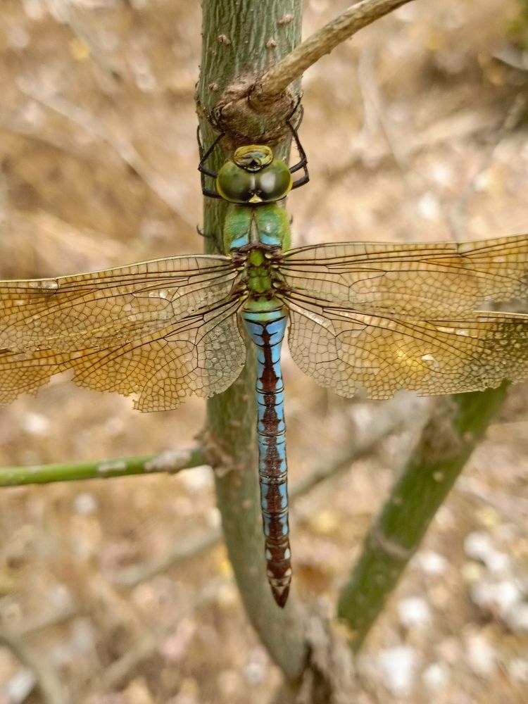 Photograph by Александр Казачек