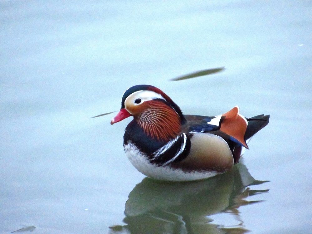 Photograph by Денис Веску