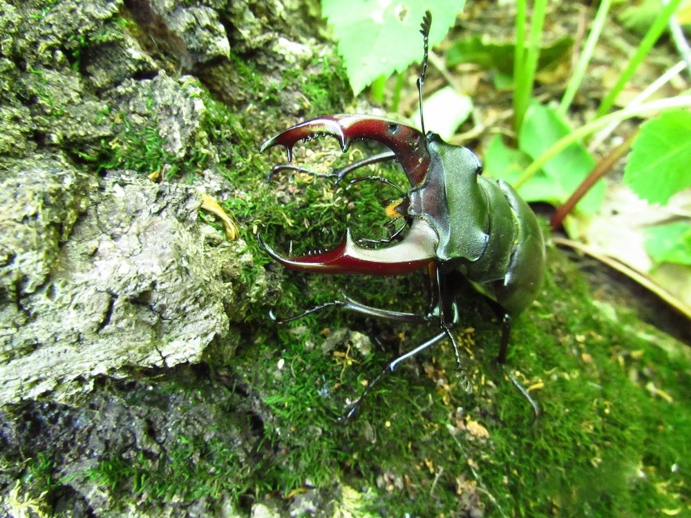 Photograph by Денис Веску